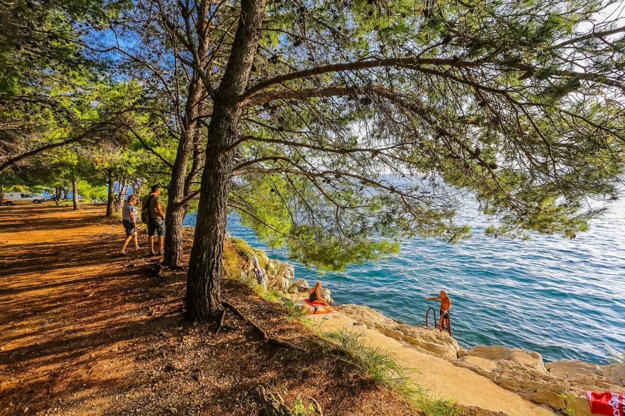 Apartments & Rooms Hosana Zadar Dış mekan fotoğraf